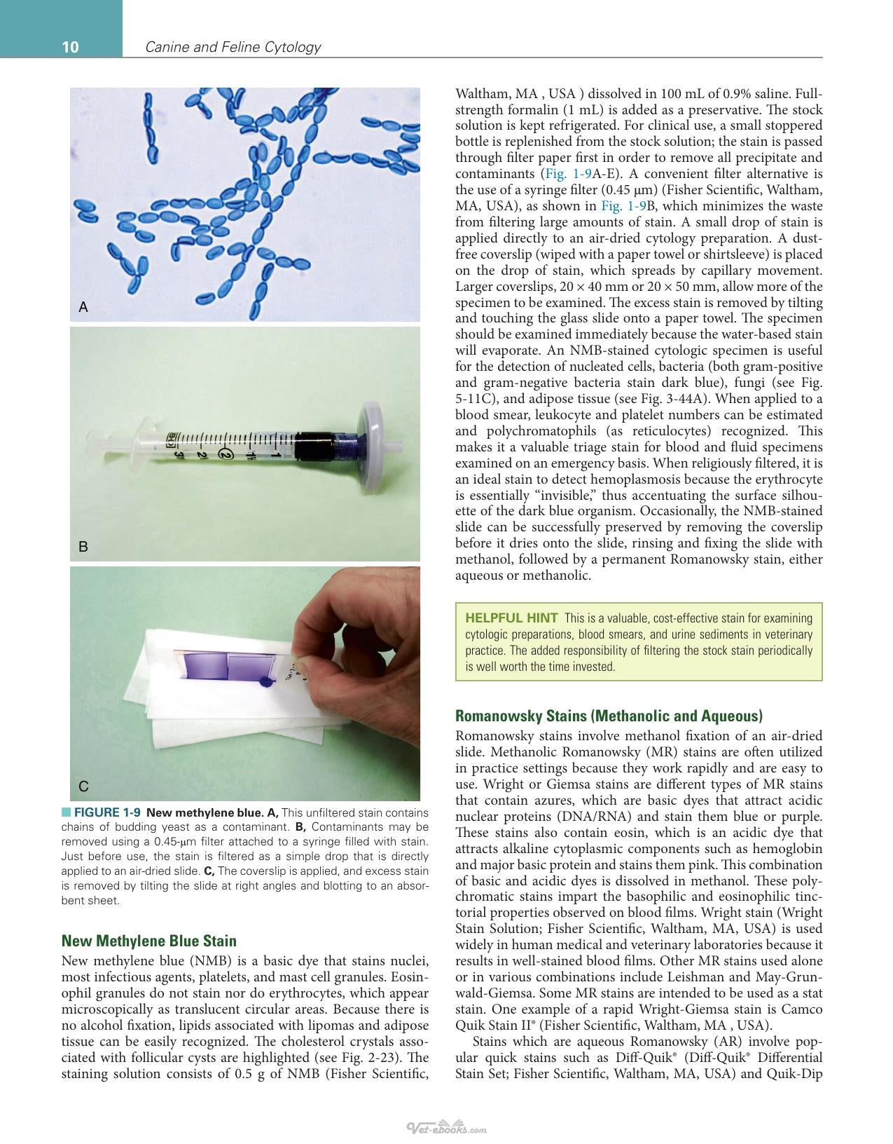 Canine And Feline Cytology A Color Atlas And Interpretation Guide 3Rd Edition