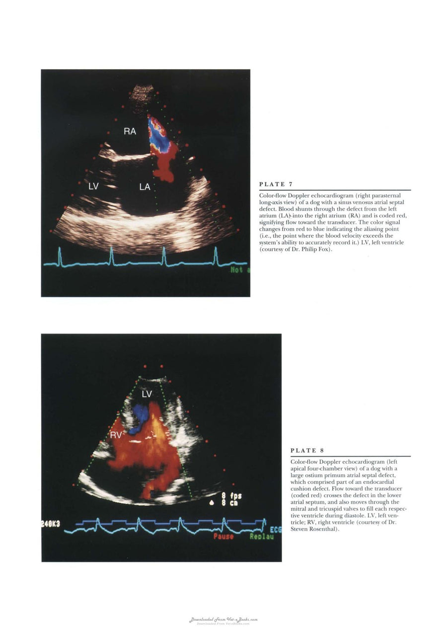 Preview page of Textbook of Canine and Feline Cardiology Principles and Clinical Practice 2nd Edition