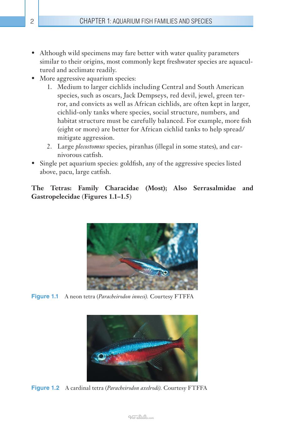 The Aquarium Fish Medicine Handbook