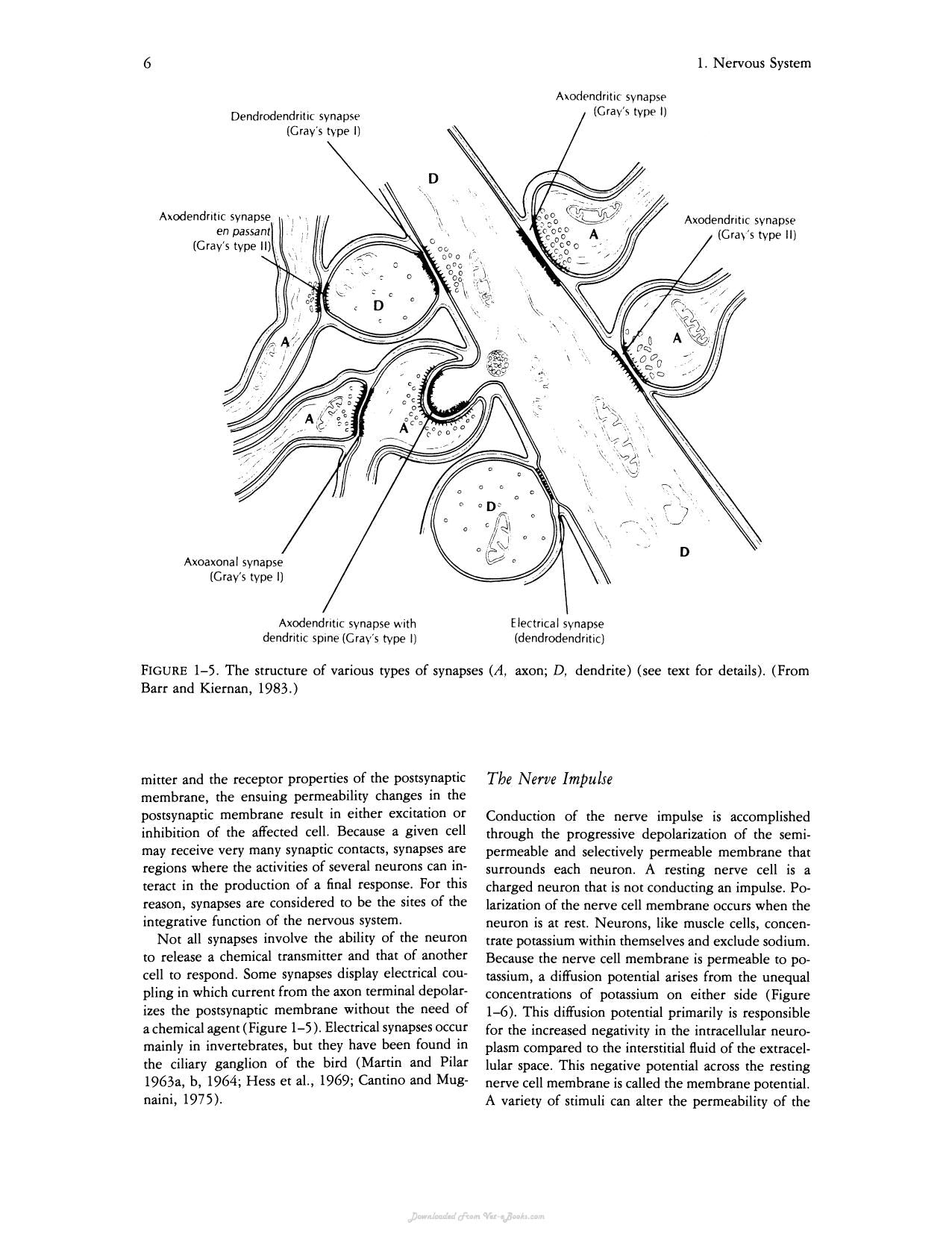 Avian Physiology 4Th Edition