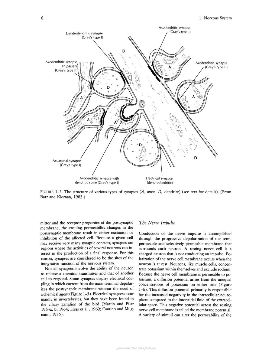 Preview page of Avian Physiology 4th Edition