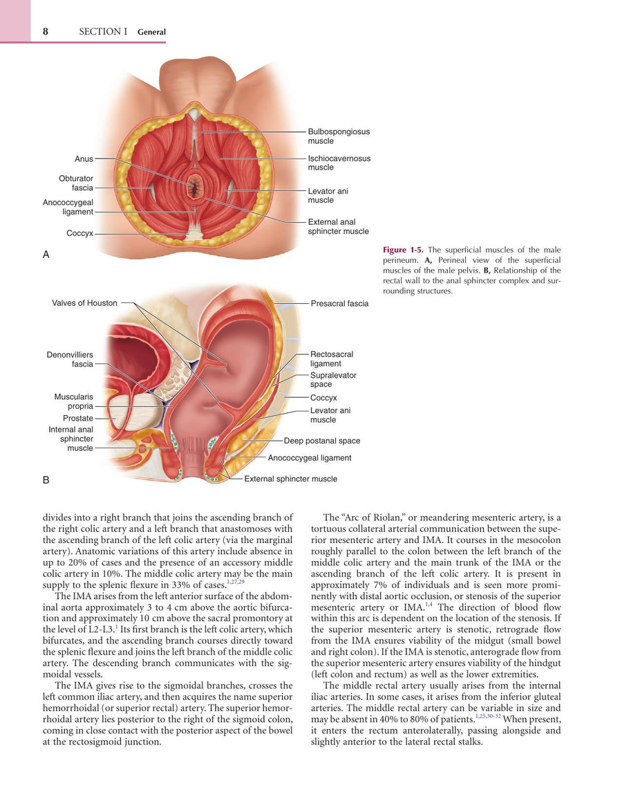 Preview page of Colorectal Surgery