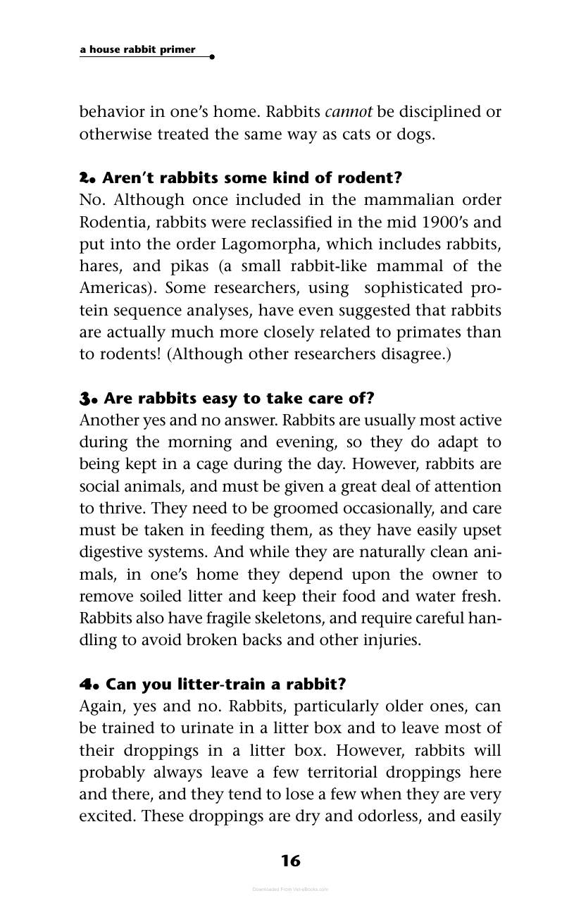 A House Rabbit Primer Understanding And Caring For Your Companion Rabbit