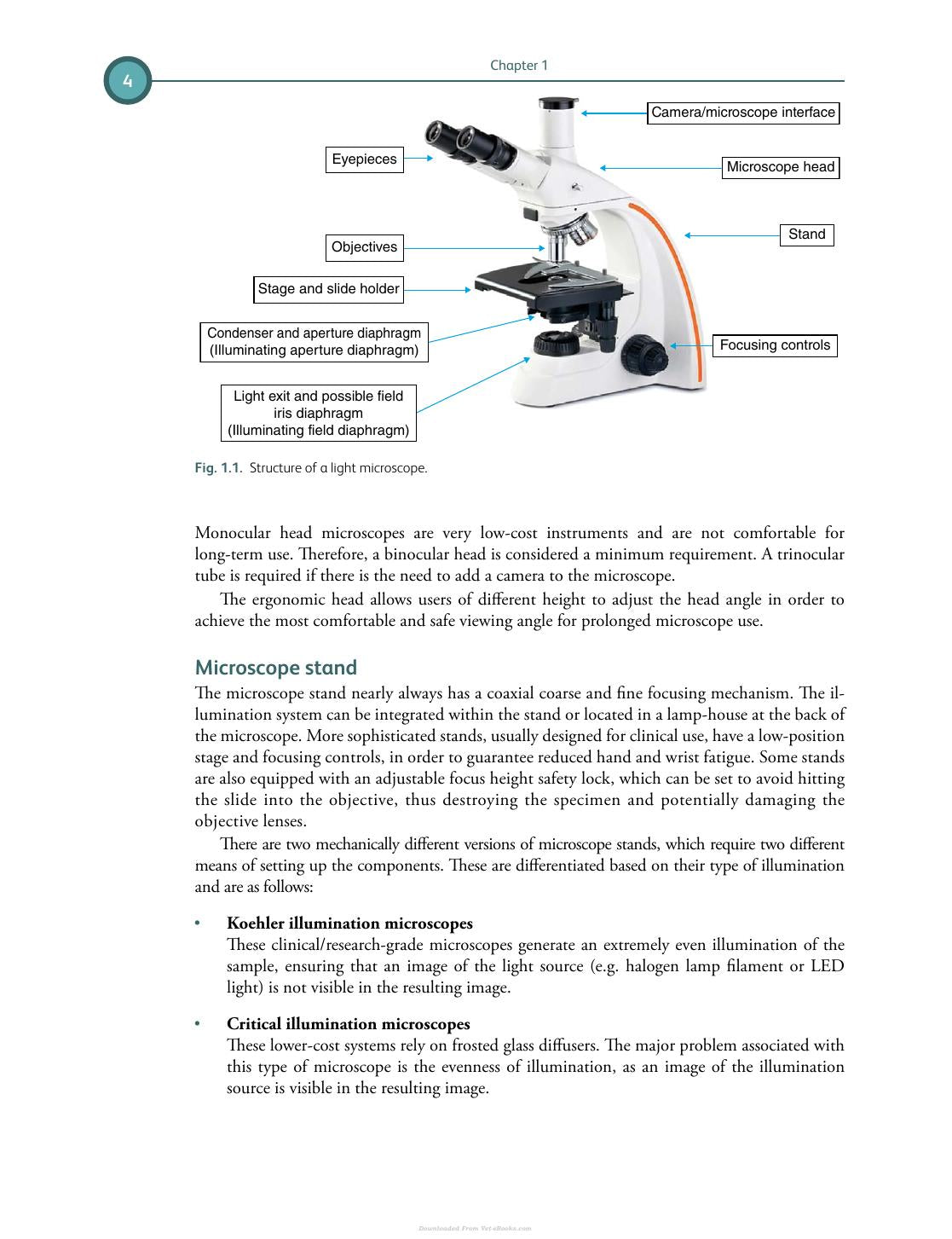 Differential Diagnosis In Small Animal Cytology