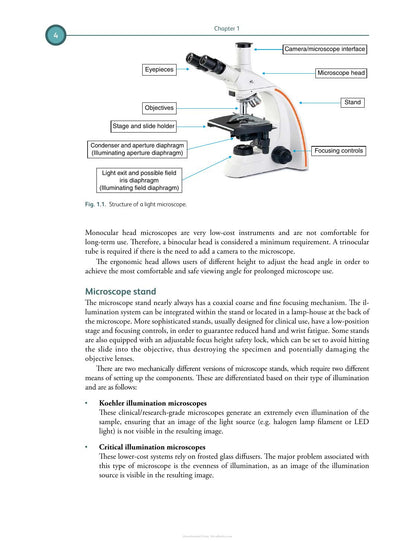 Differential Diagnosis in Small Animal Cytology