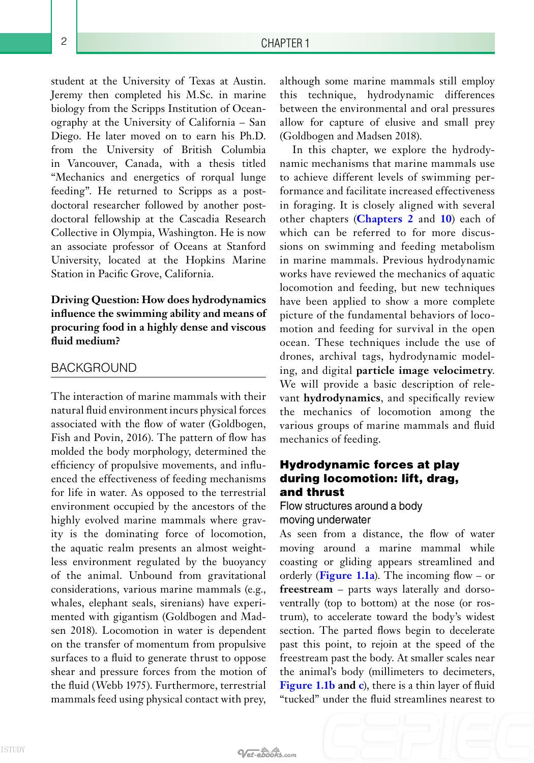 Physiology Of Marine Mammals Adaptations To The Ocean