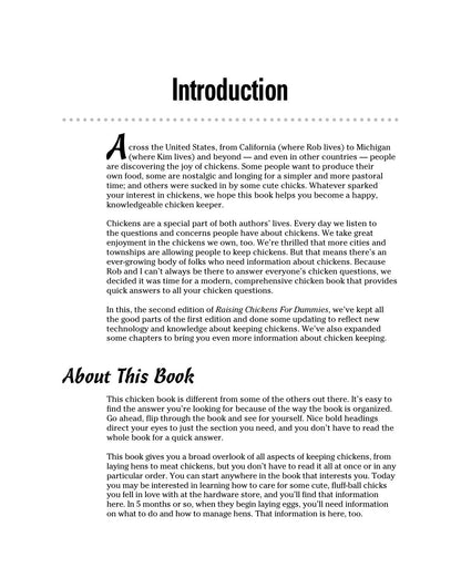 Look inside — page 17