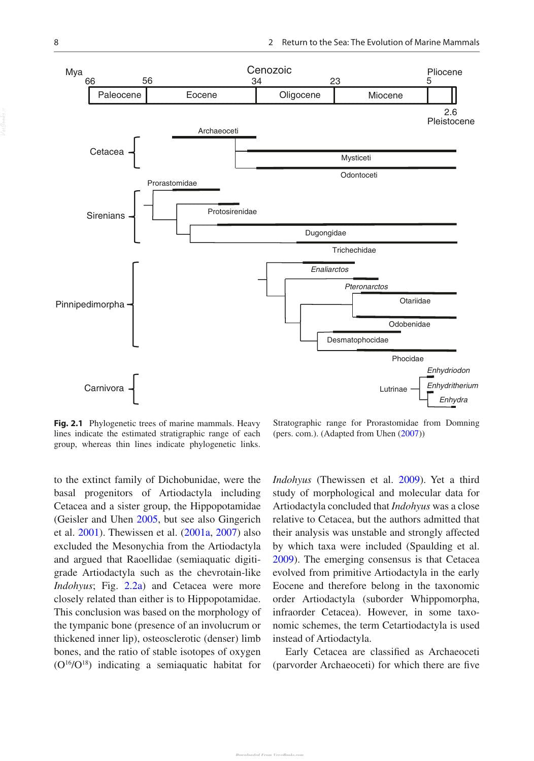 Marine Mammals Adaptations For An Aquatic Life