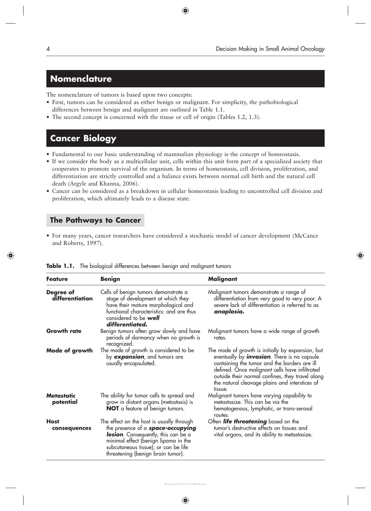 Decision Making In Small Animal Oncology