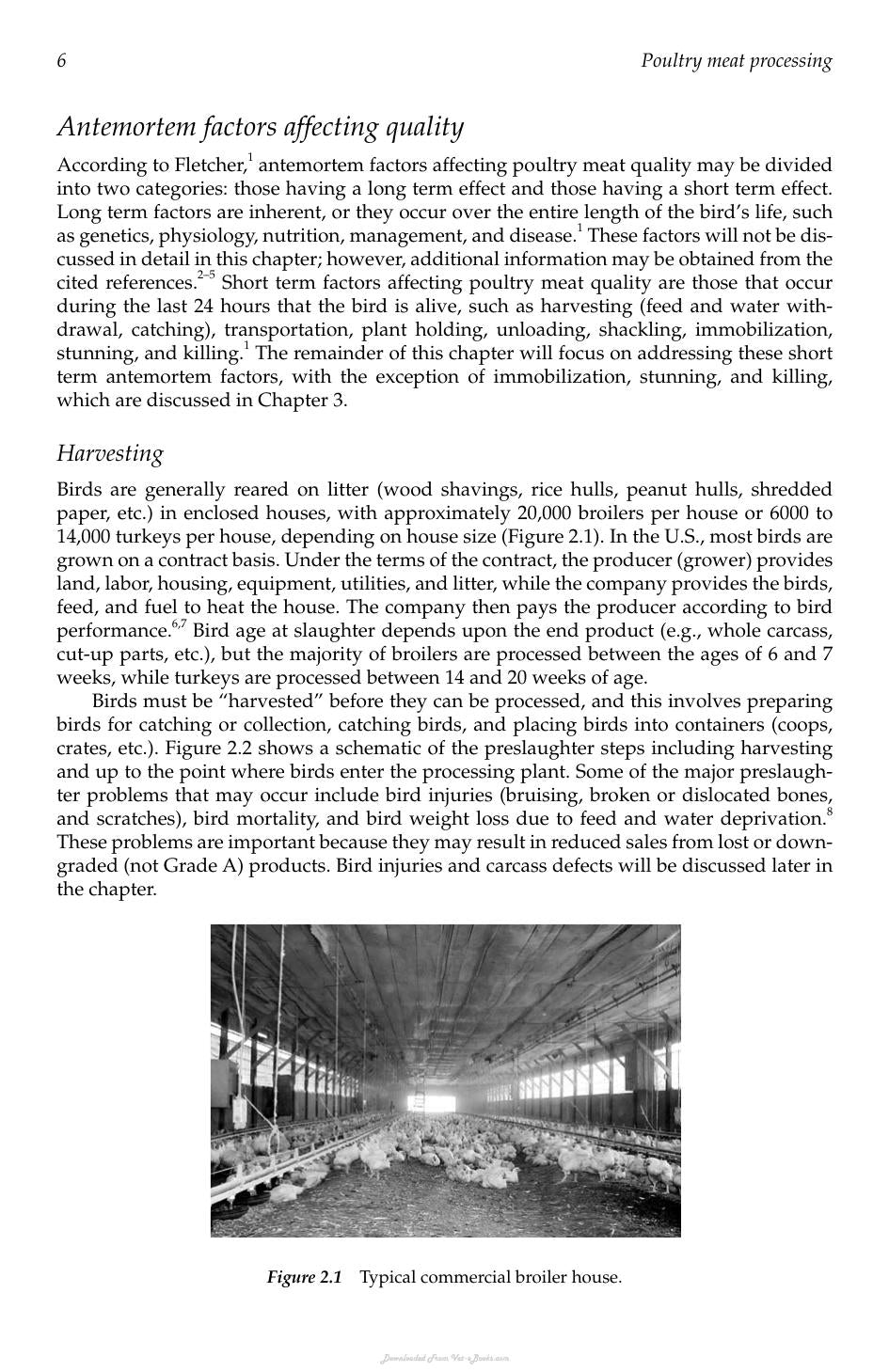 Poultry Meat Processing