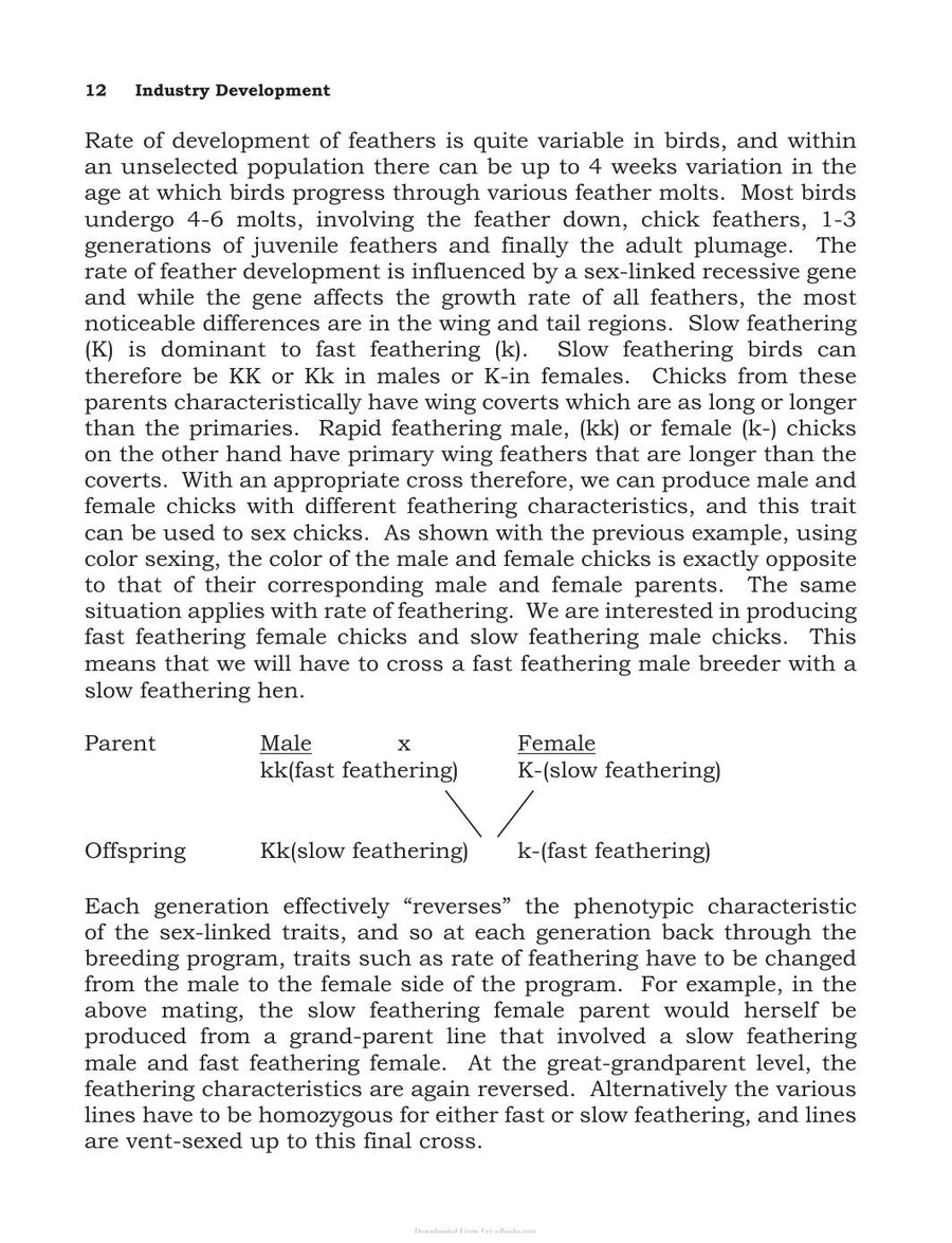 Preview page of Broiler Breeder Production