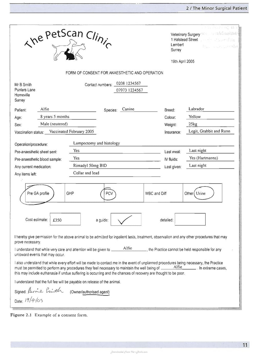 Preview page of Minor Veterinary Surgery a Handbook for Veterinary Nurses