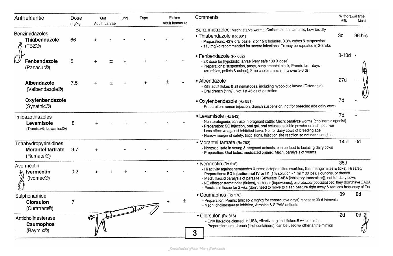 Guide To Bovine Clinics 4Th Edition