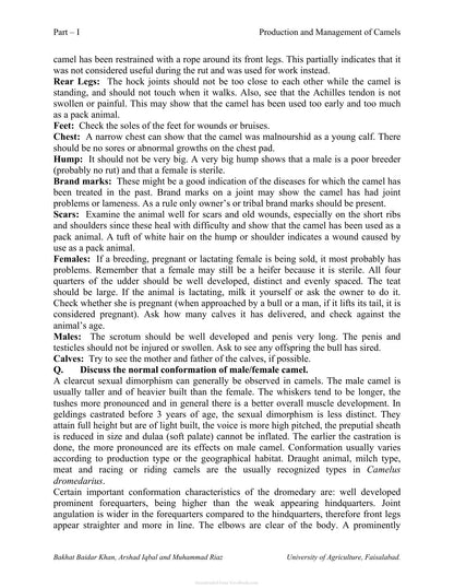 Production and Management of Camels
