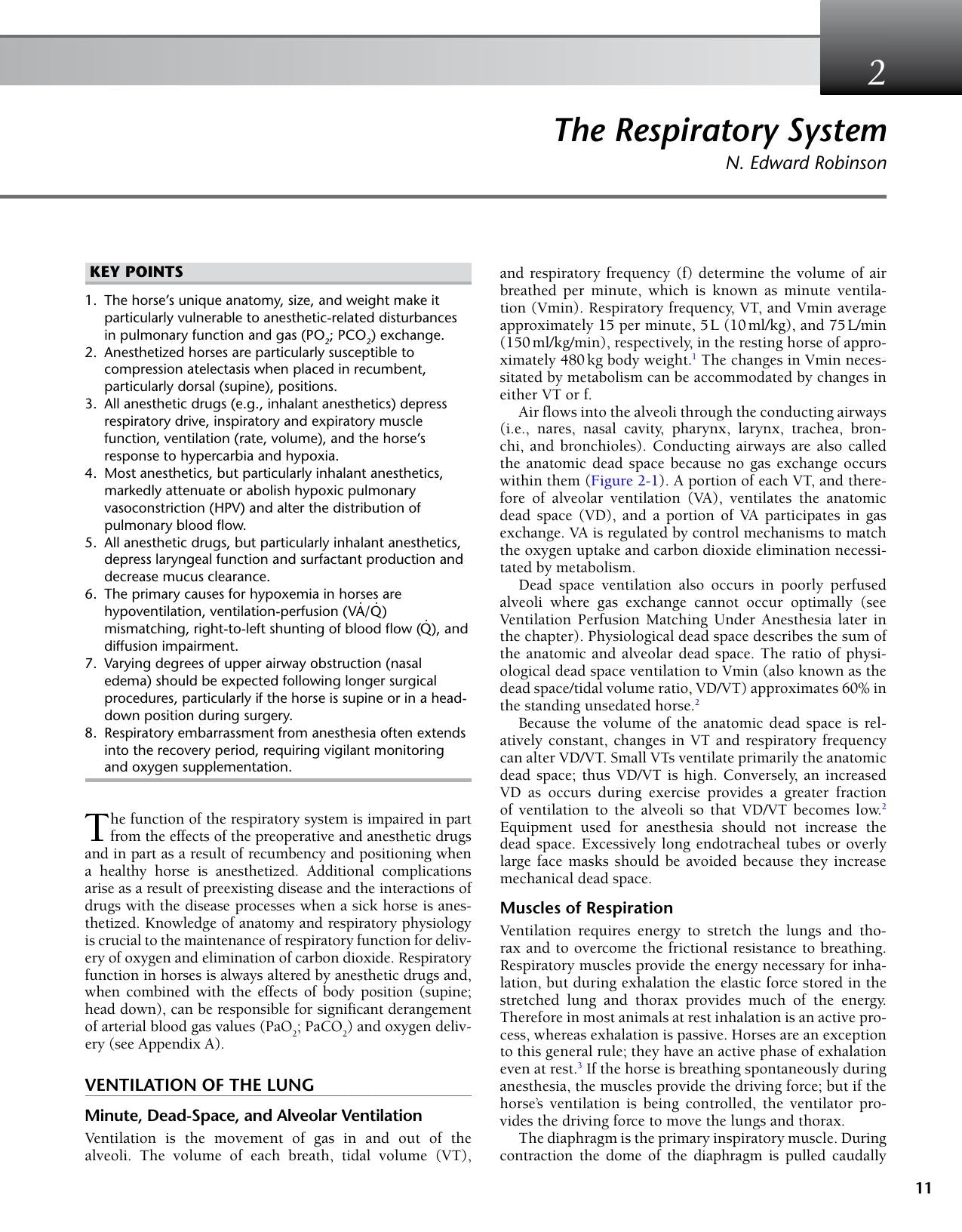 Equine Anesthesia Monitoring And Emergency Therapy