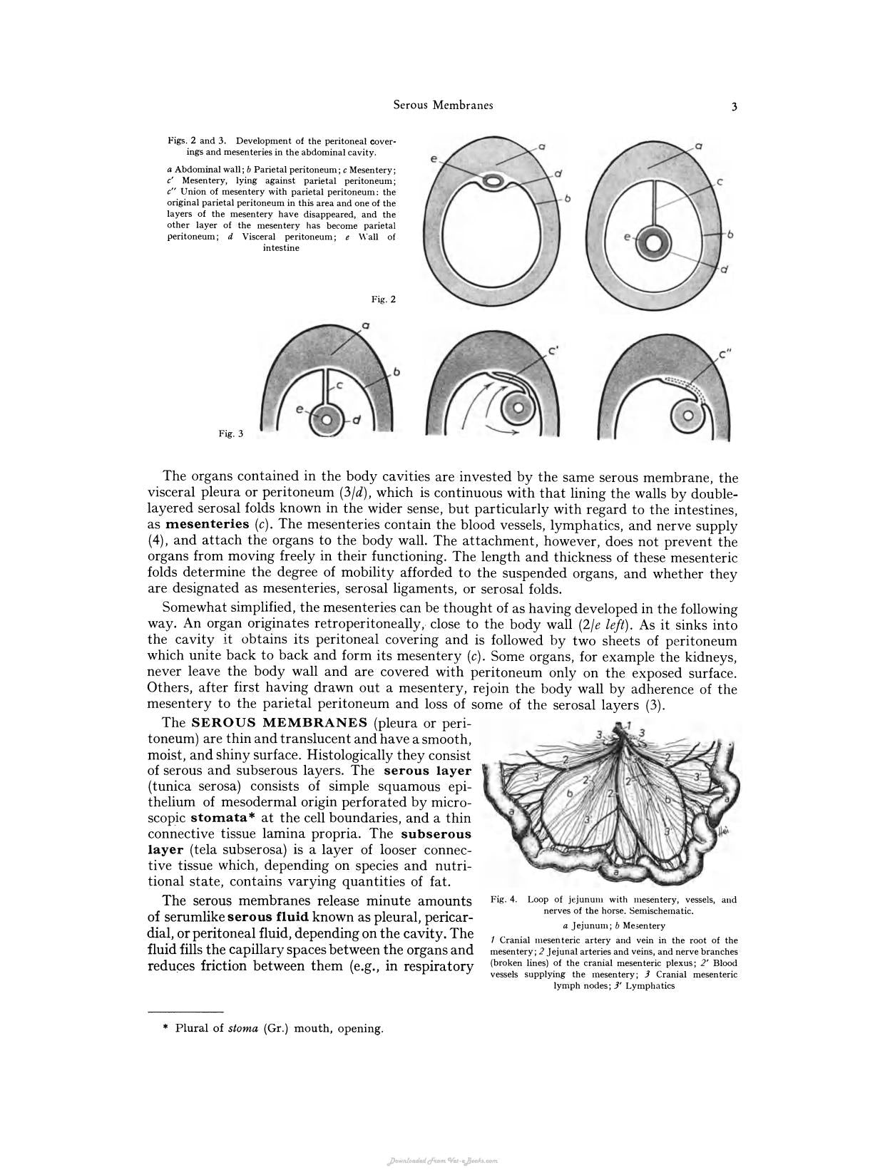 The Viscera Of The Domestic Mammals 2Nd Revised Edition