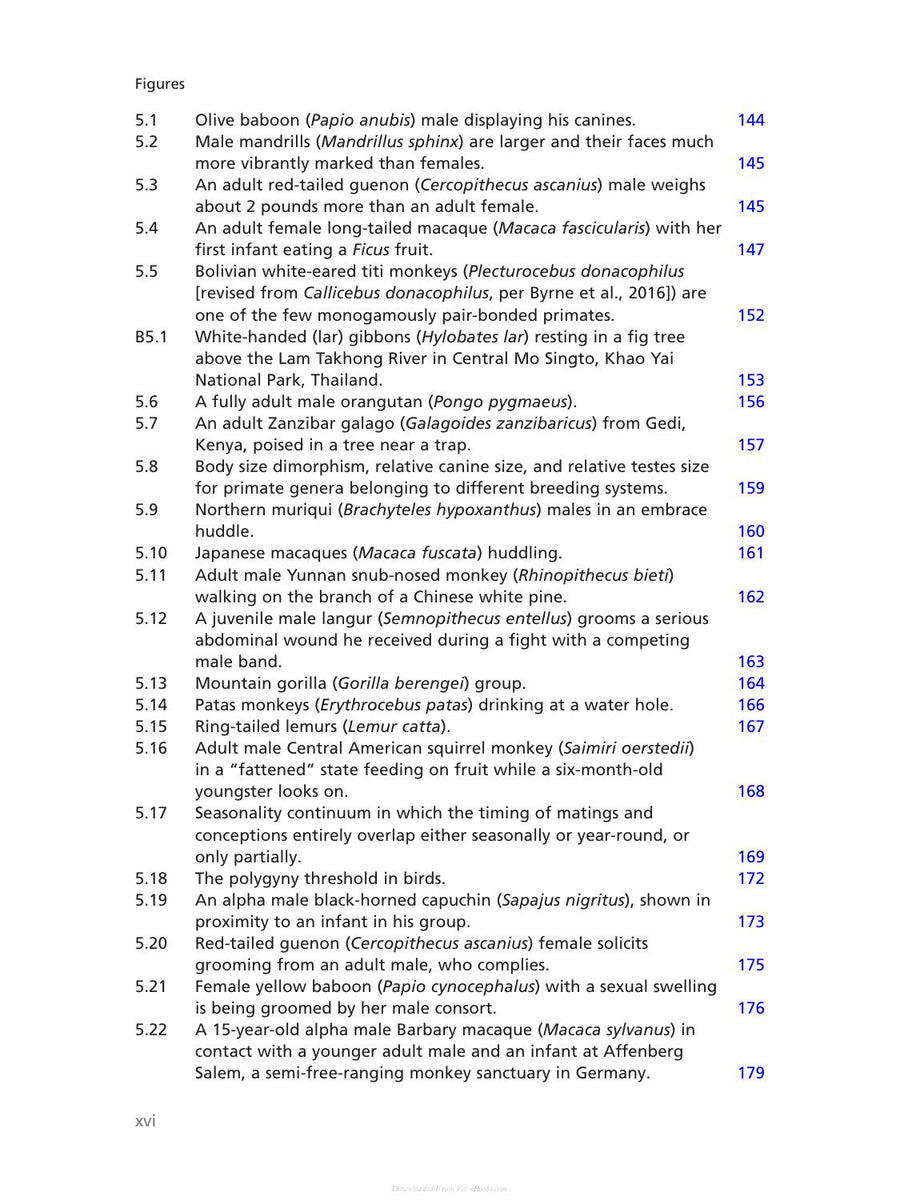 Preview page of Primate Behavioral Ecology 5th Edition