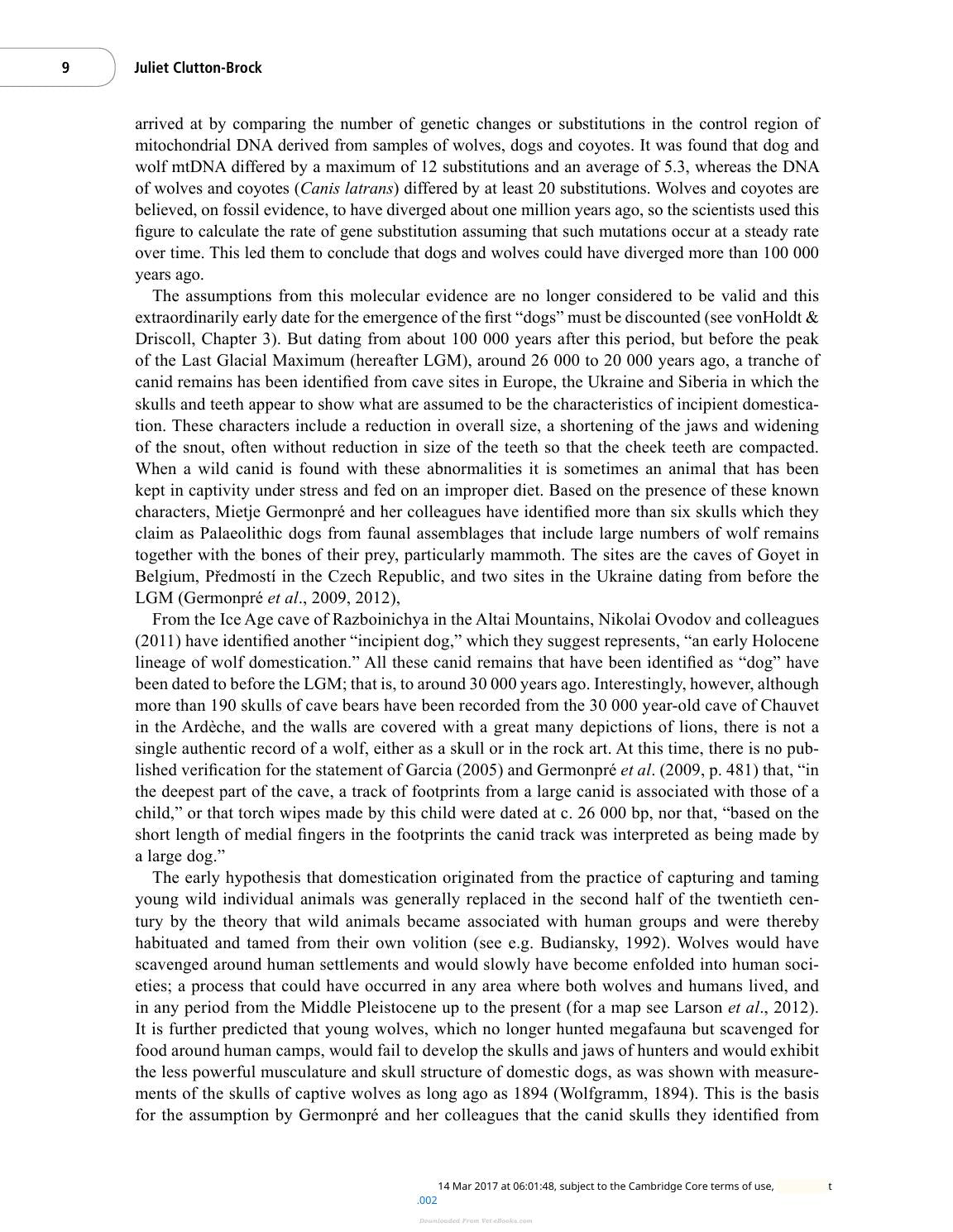 The Domestic Dog Its Evolution Behavior And Interactions With People 2Nd Edition