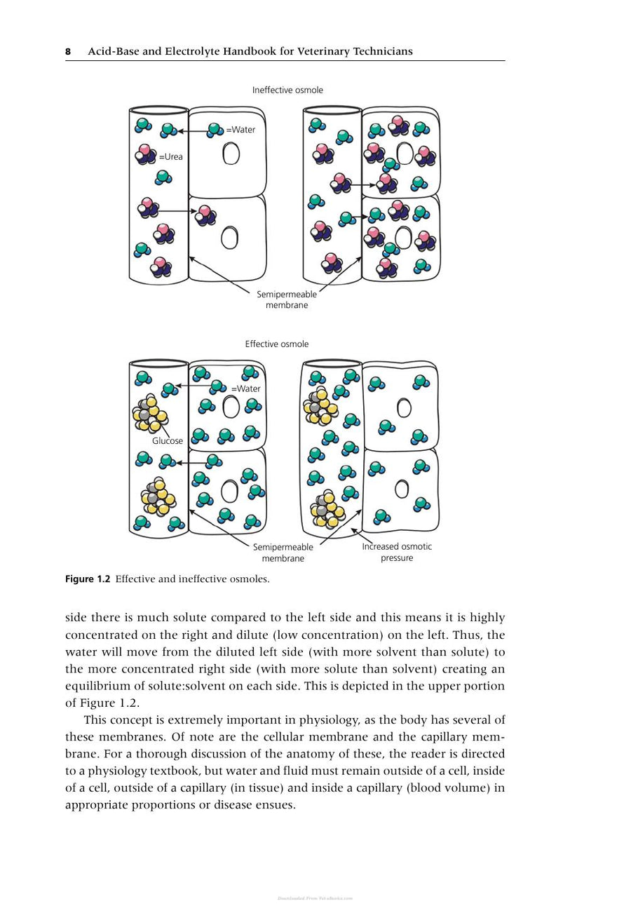 Preview page of Acid Base Electrolyte Handbook Veterinary Technicians