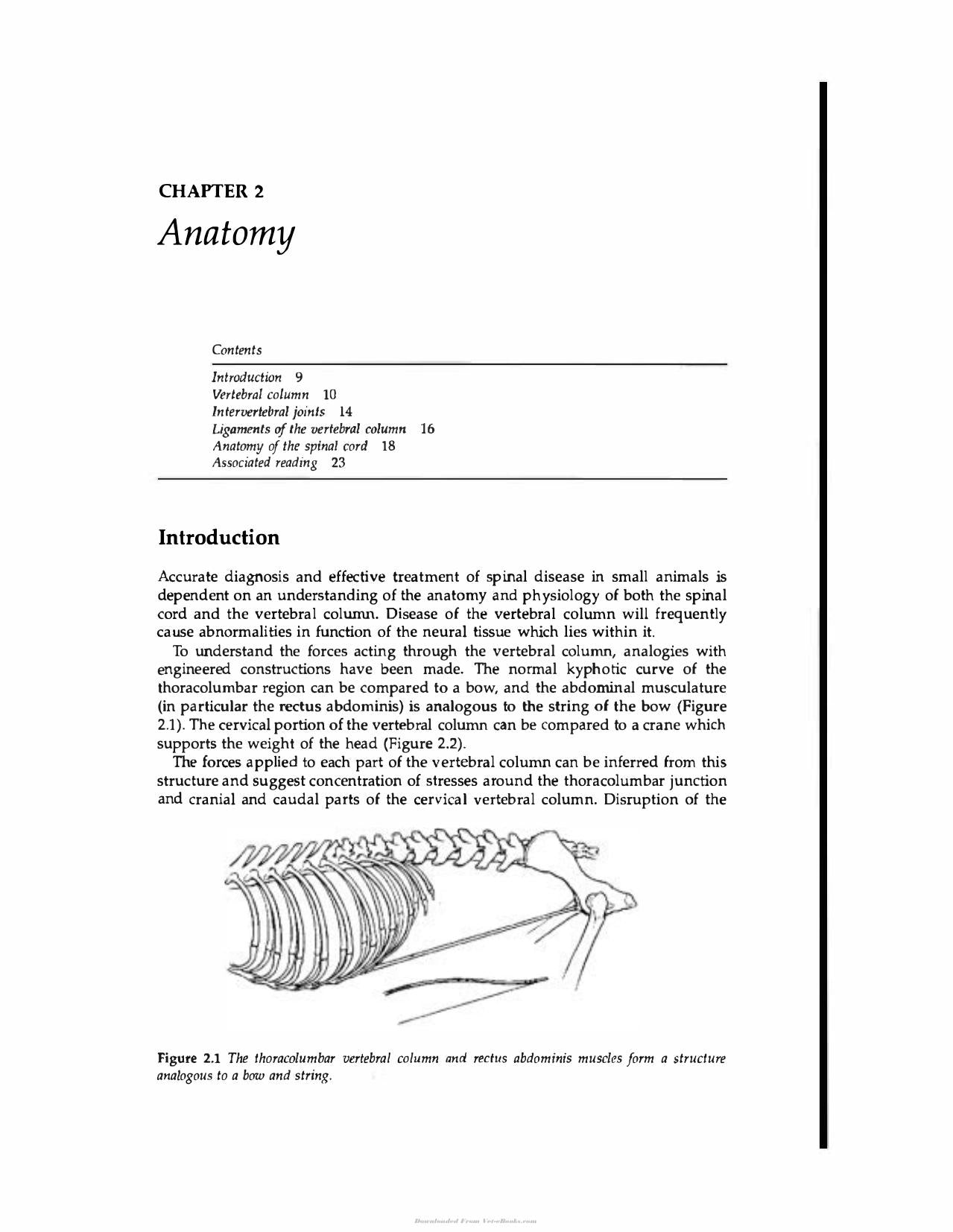 Handbook Of Small Animal Spinal Surgery