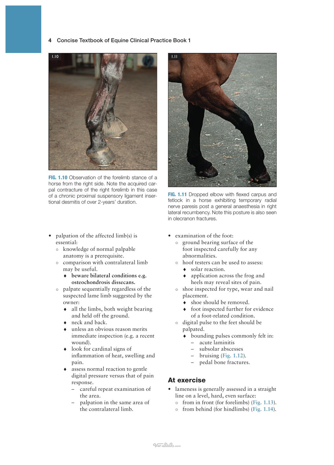 Concise Textbook Of Equine Clinical Practice Book 1 Lameness