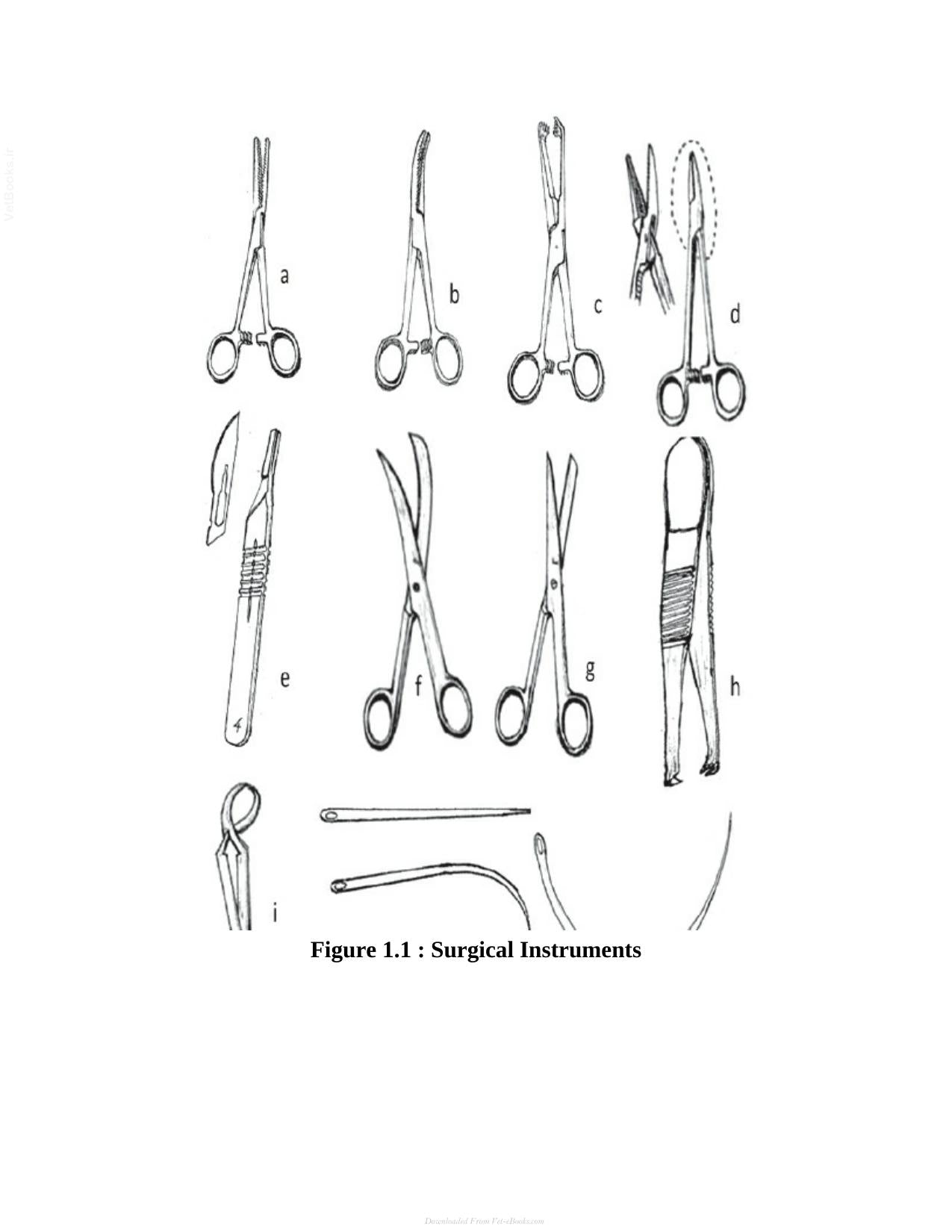 Veterinary Surgery A Practical Guide