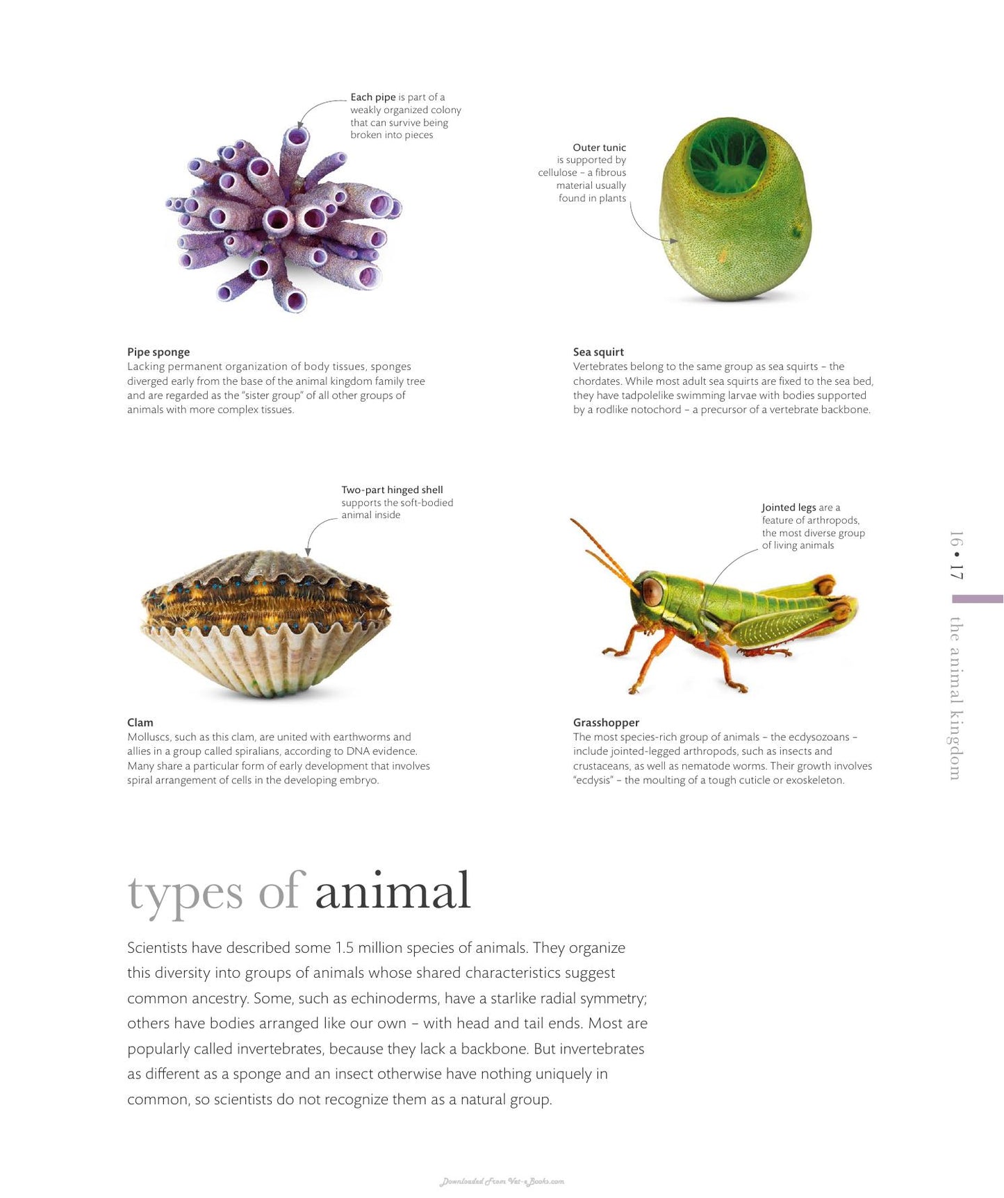 The Science Of Animals Inside Their Secret World