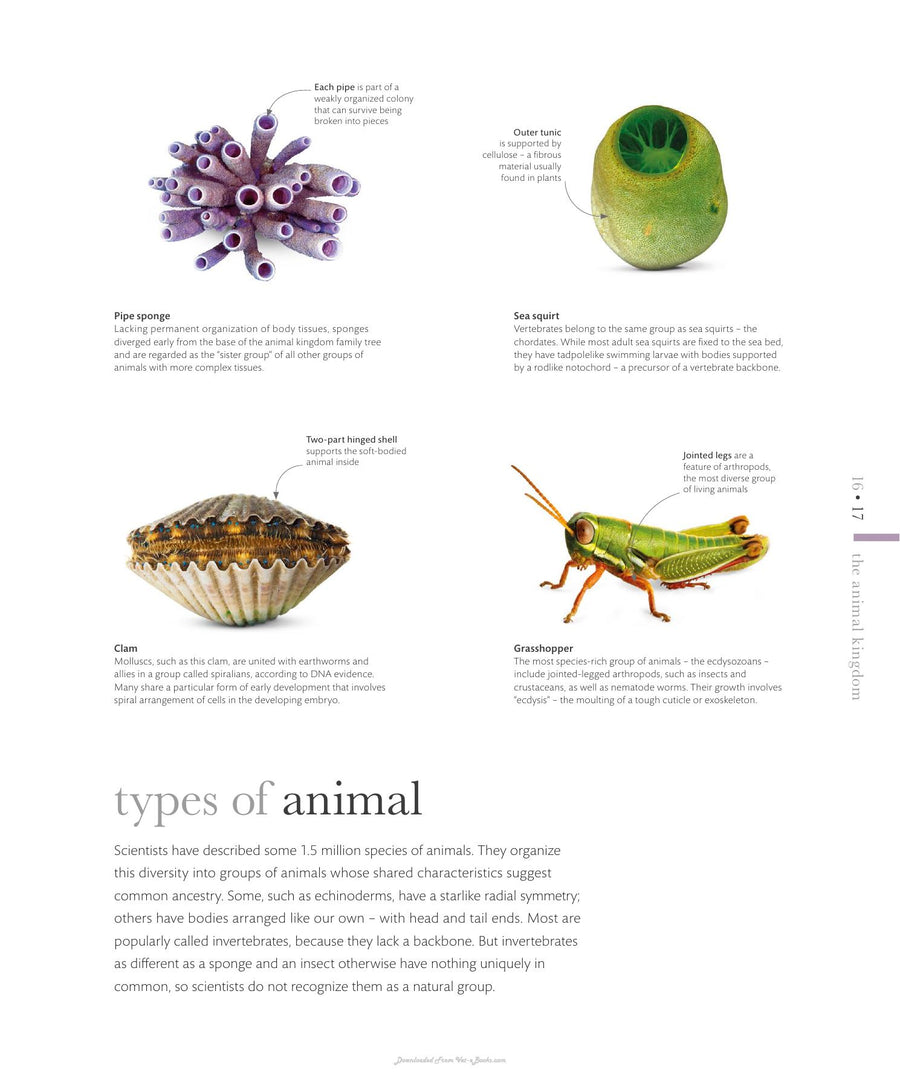 Preview page of The Science of Animals Inside Their Secret World
