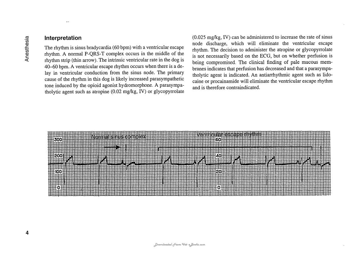 Ecg Interpretation In The Critically Ill Dog And Cat