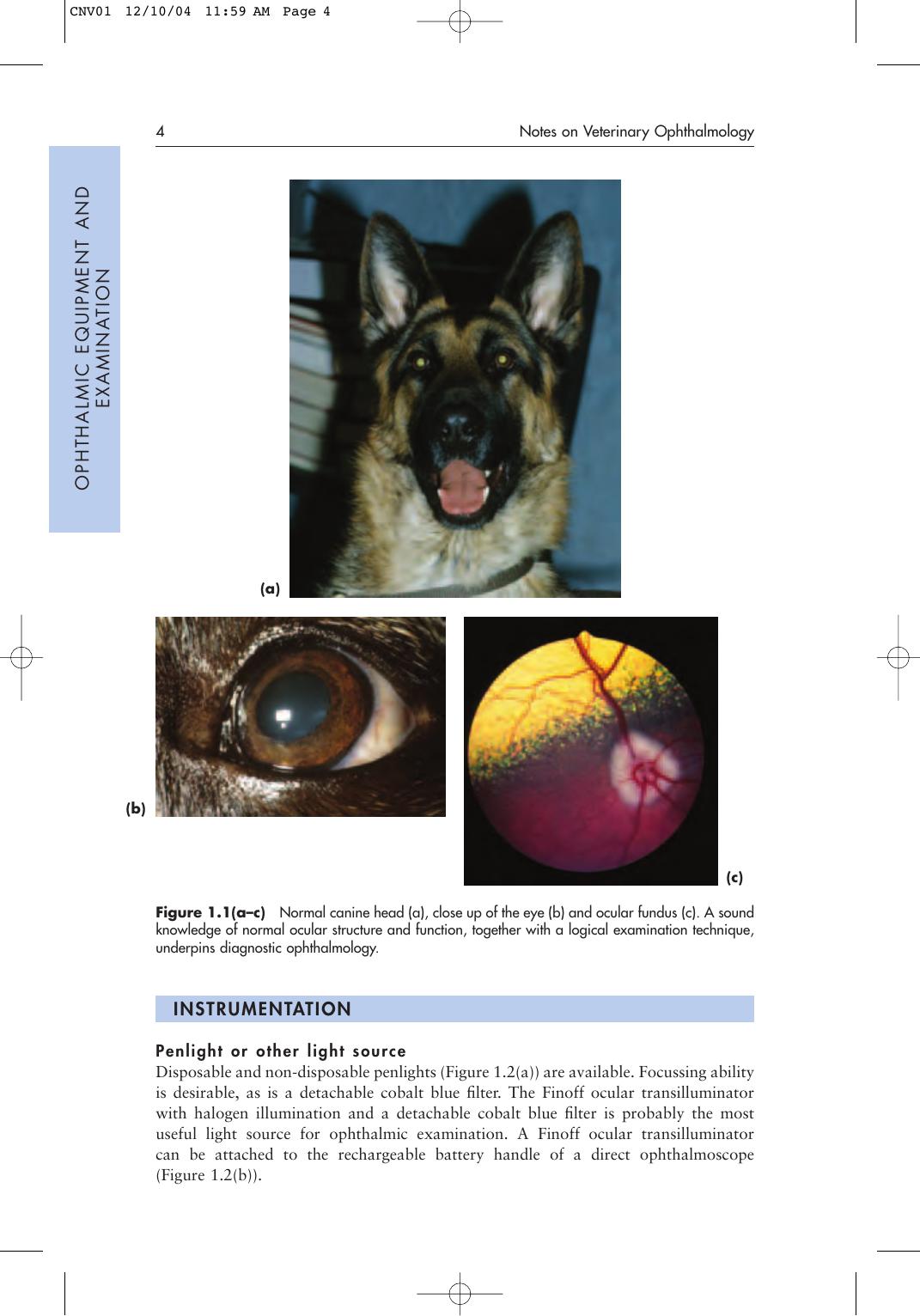 Notes On Veterinary Ophthalmology