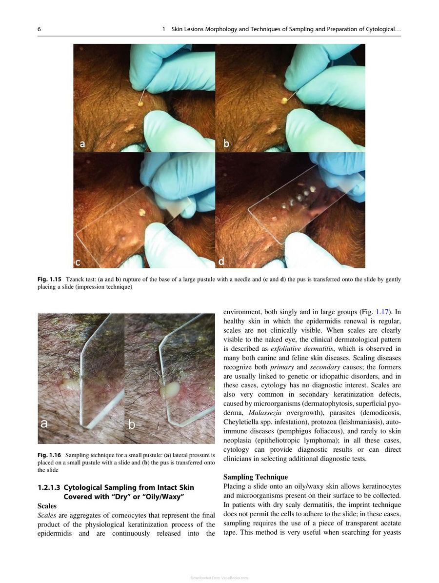 Preview page of Canine and Feline Skin Cytology 2nd Edition