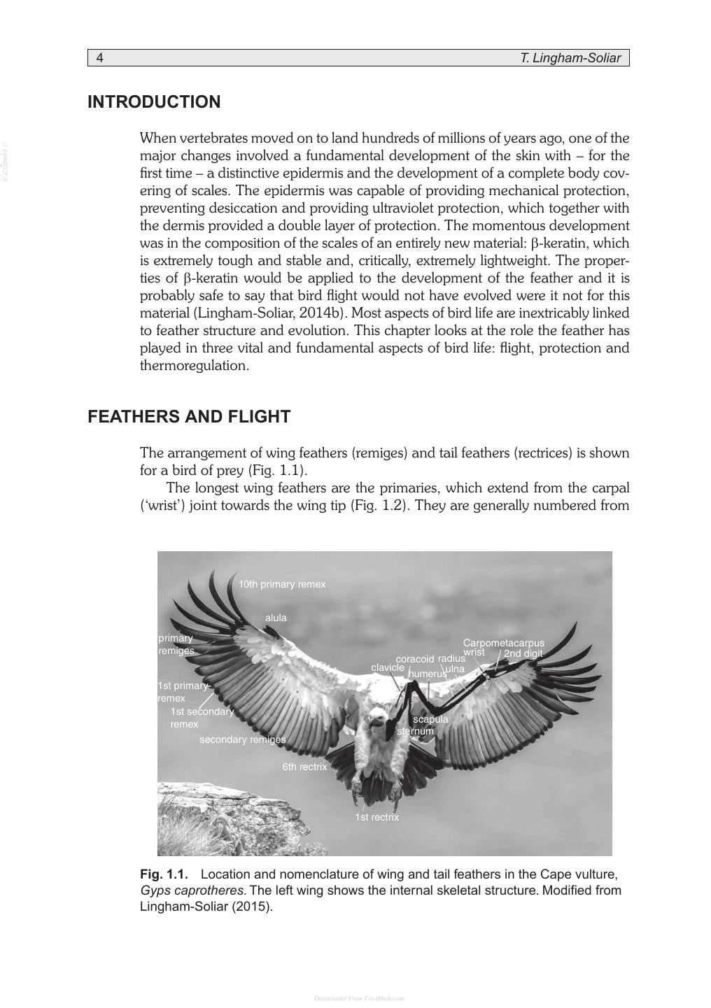 Poultry Feathers And Skin The Poultry Integument In Health And Welfare