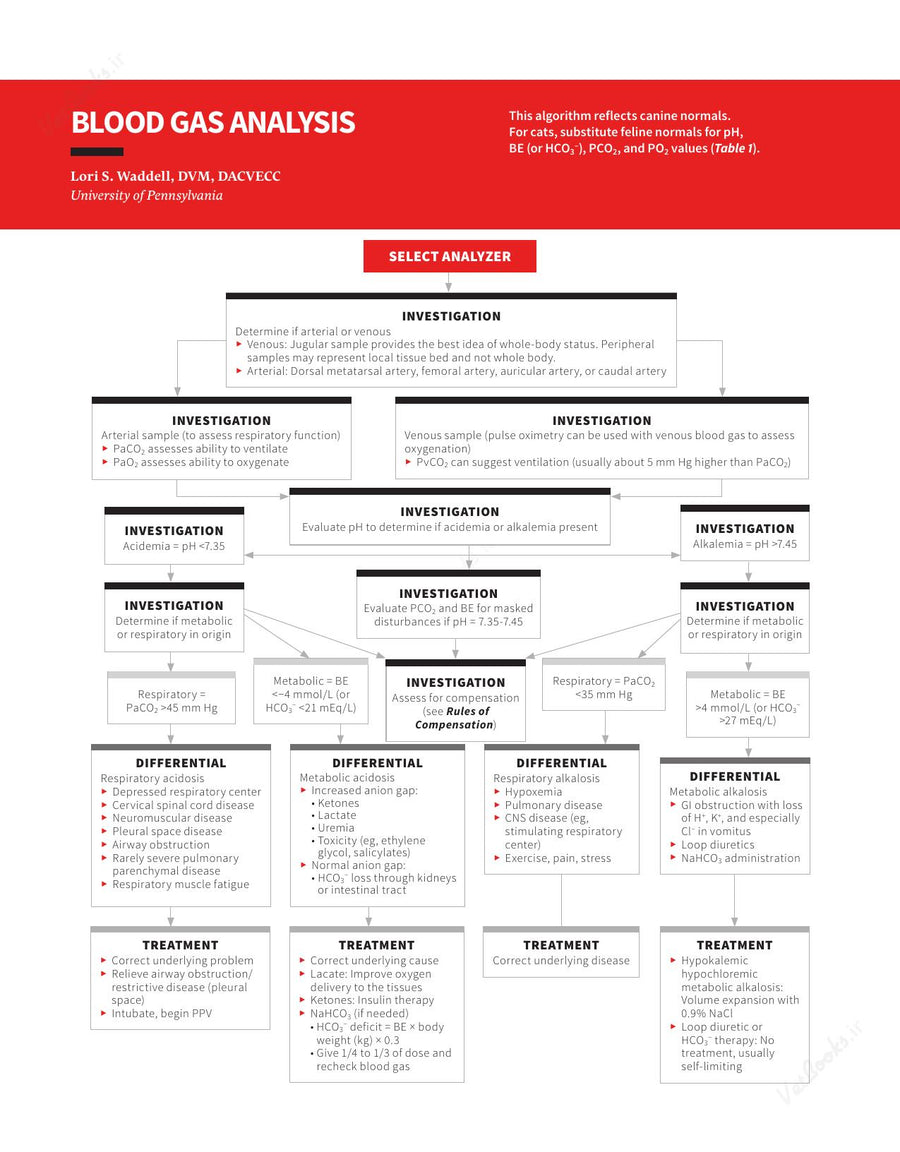 Preview page of Clinician's Brief Algorithms to Guide Your Diagnosis and Treatment