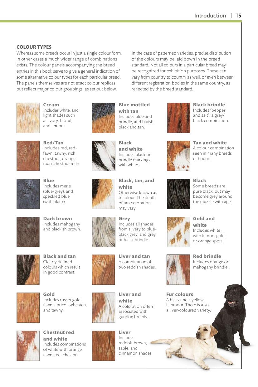 Dogs Dk Handbooks