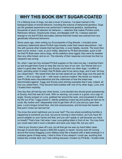 Look inside — page 17