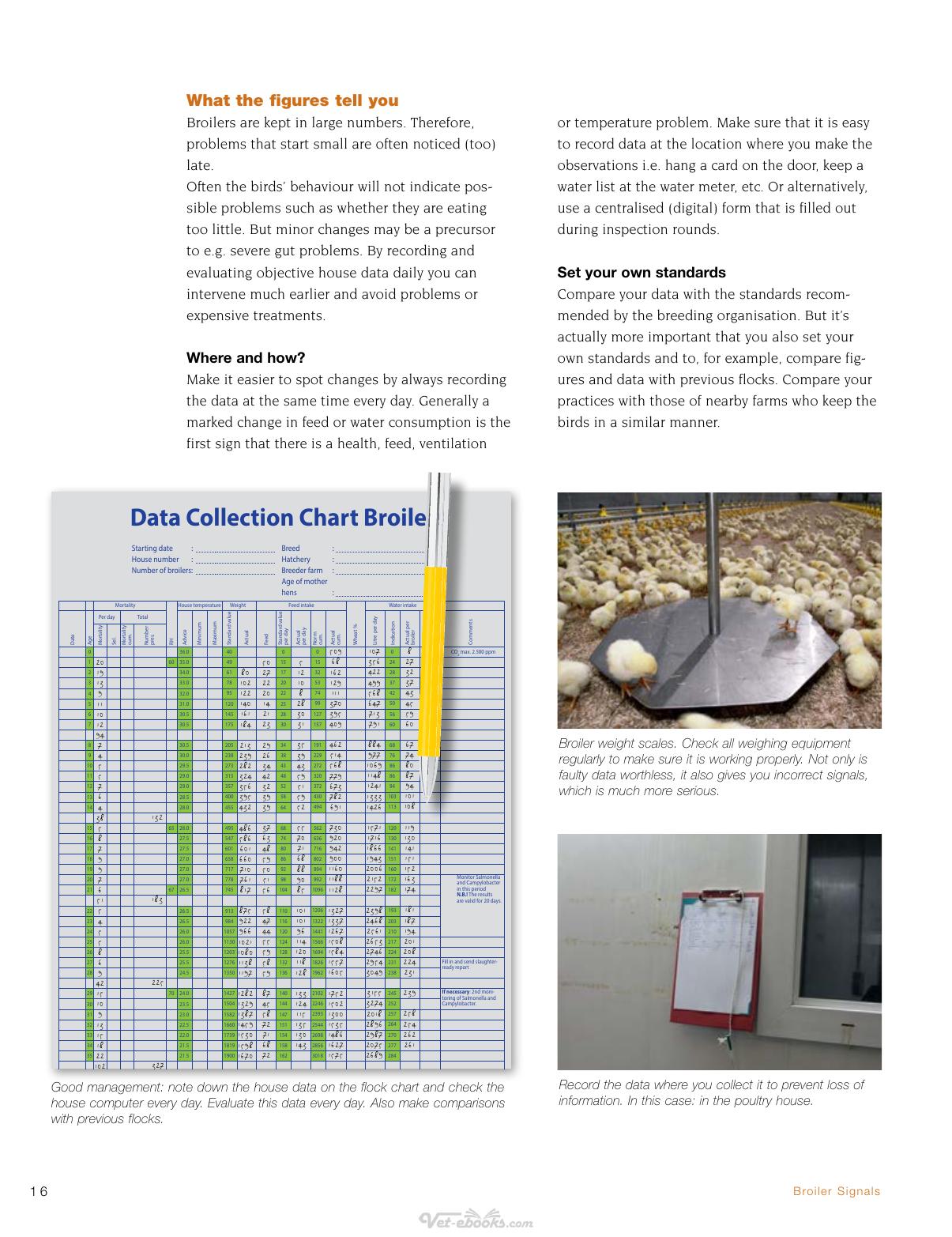 Broiler Signals A Practical Guide To Broiler Focused Management