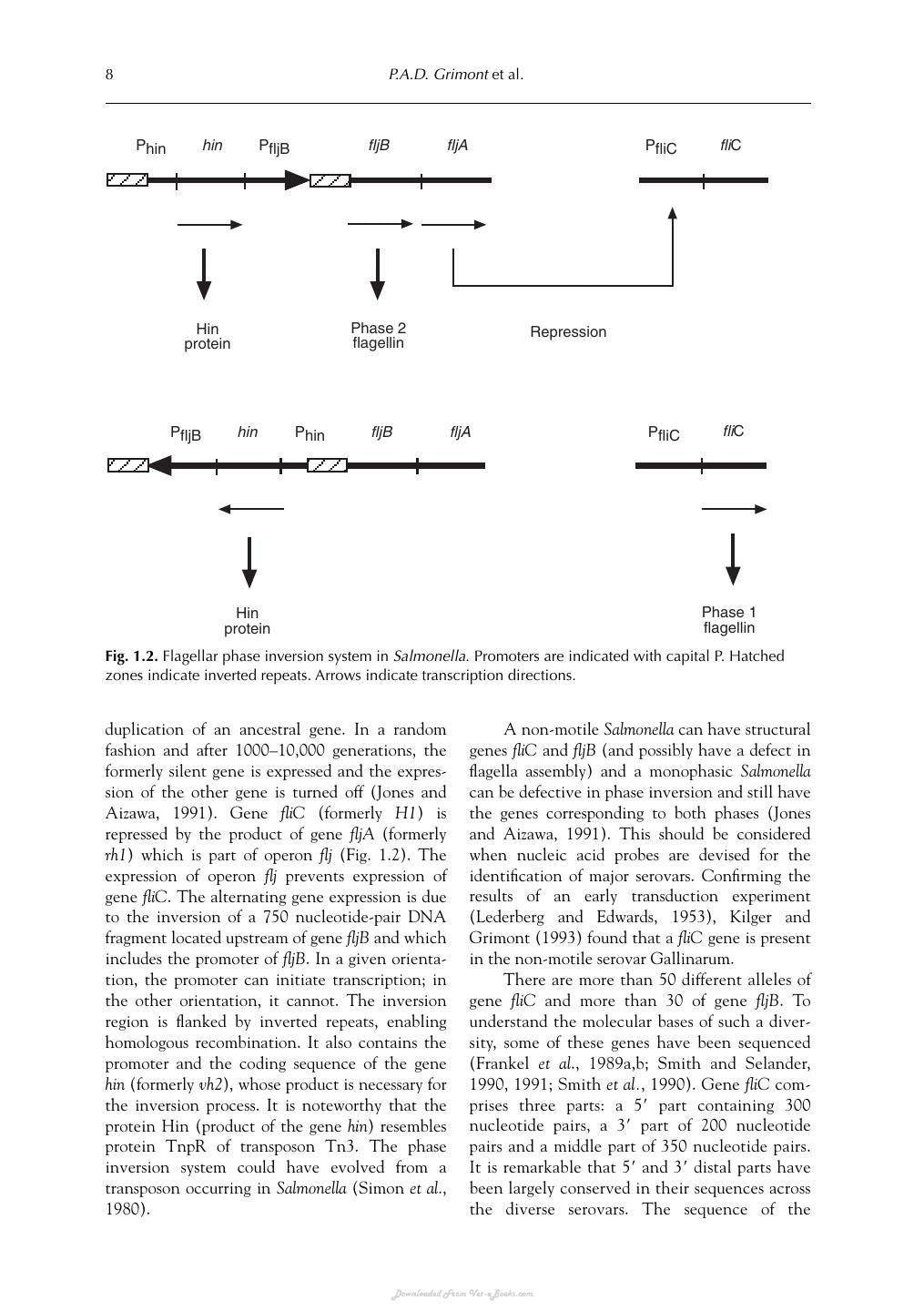 Salmonella In Domestic Animals