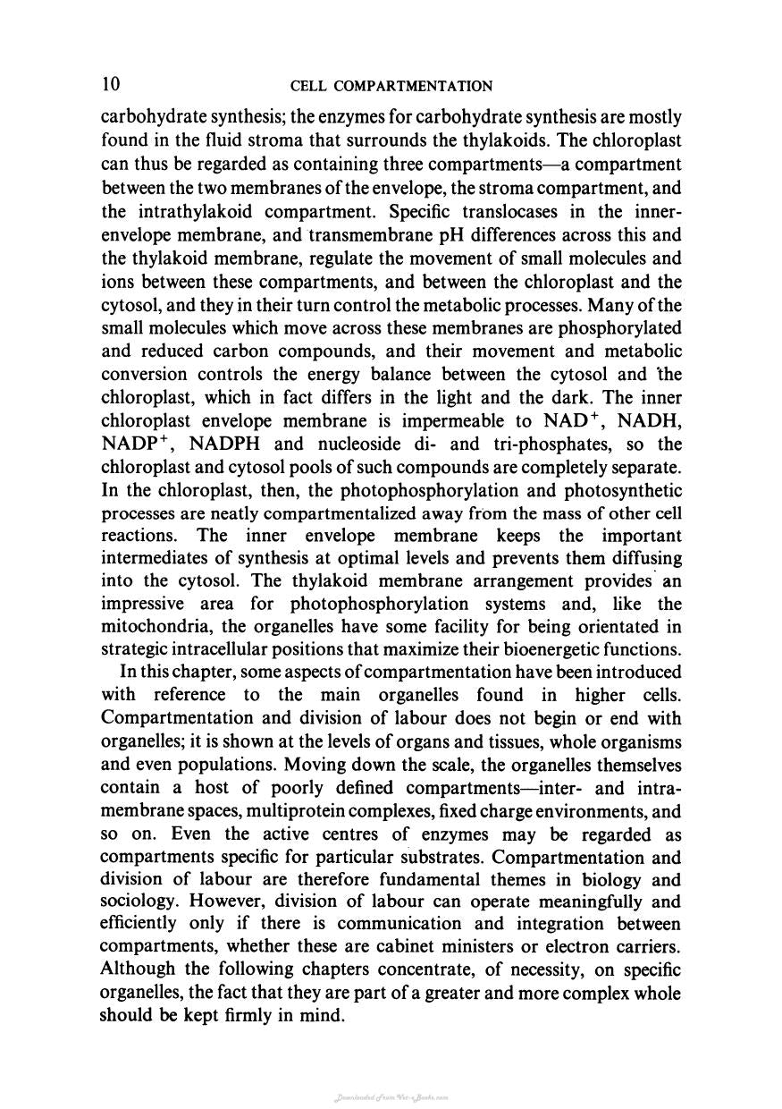 Biochemistry And Structure Of Cell Organelle