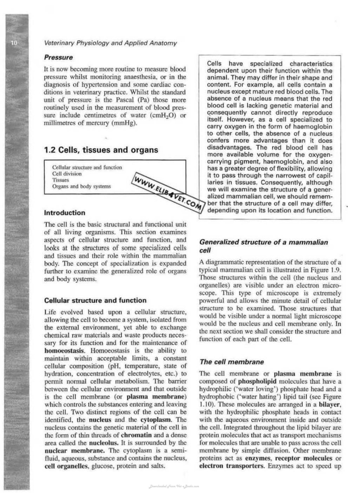 Veterinary Physiology And Applied Anatomy A Textbook For Veterinary Nurses And Technicians