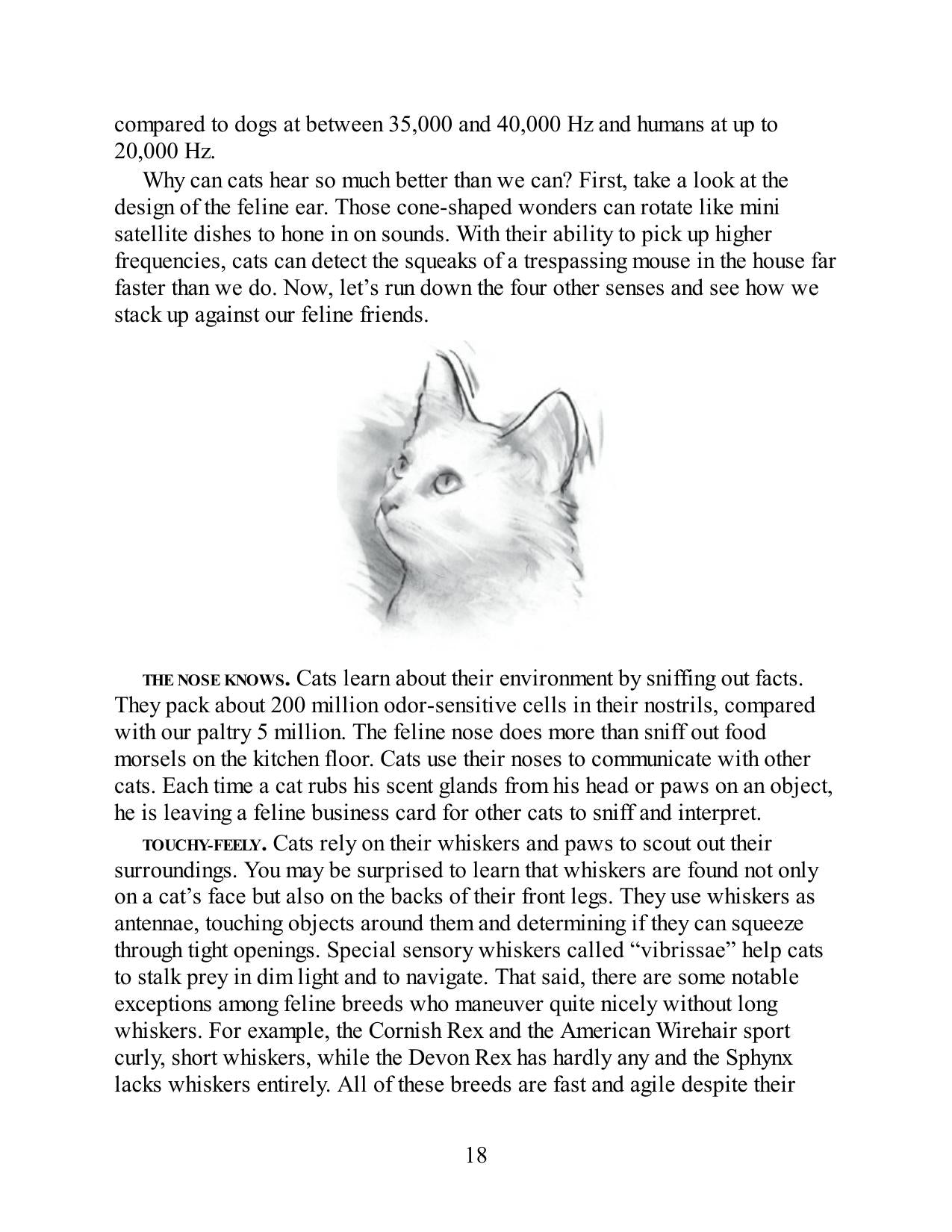 Look inside — page 18