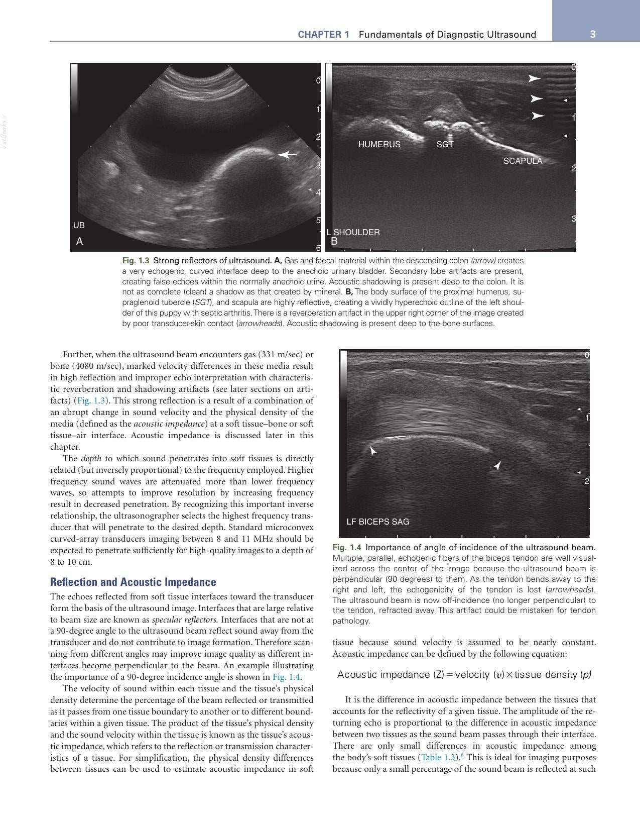 Small Animal Diagnostic Ultrasound 4Th Edition