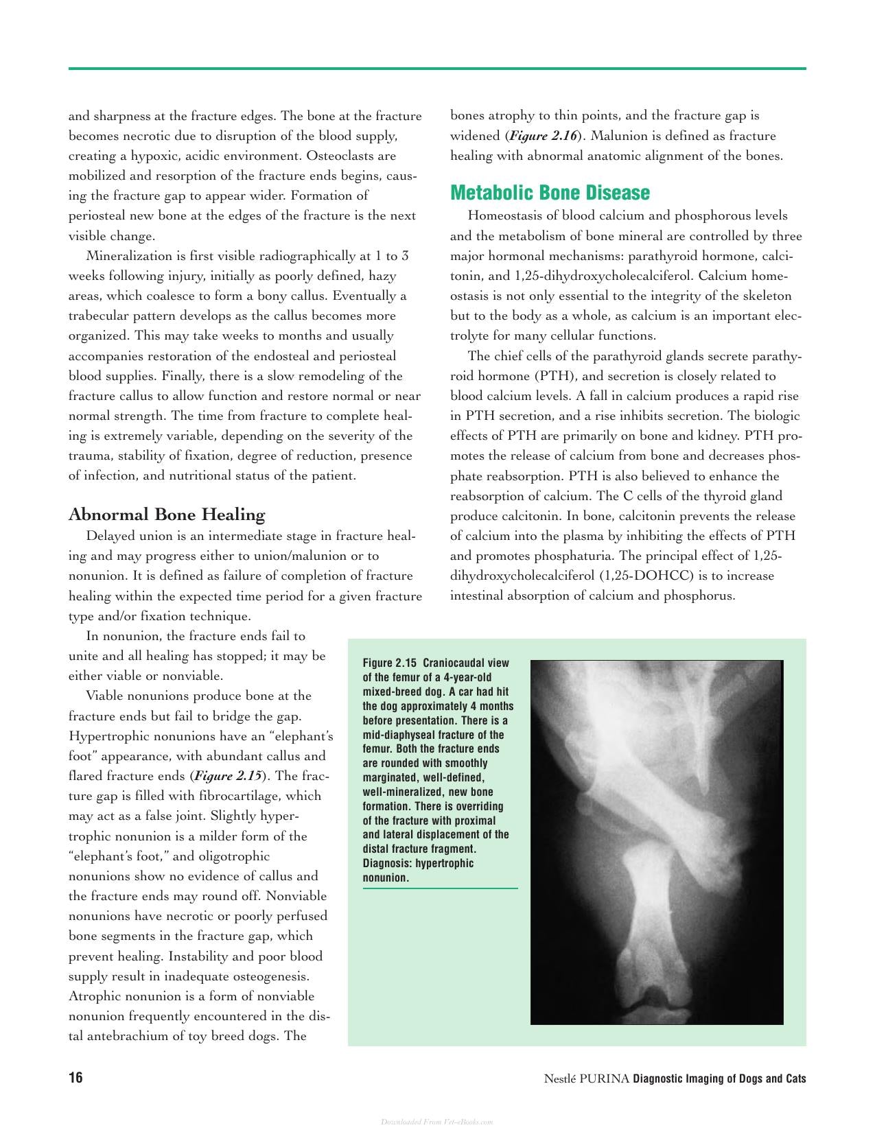 Diagnostic Imaging Of Dogs And Cats