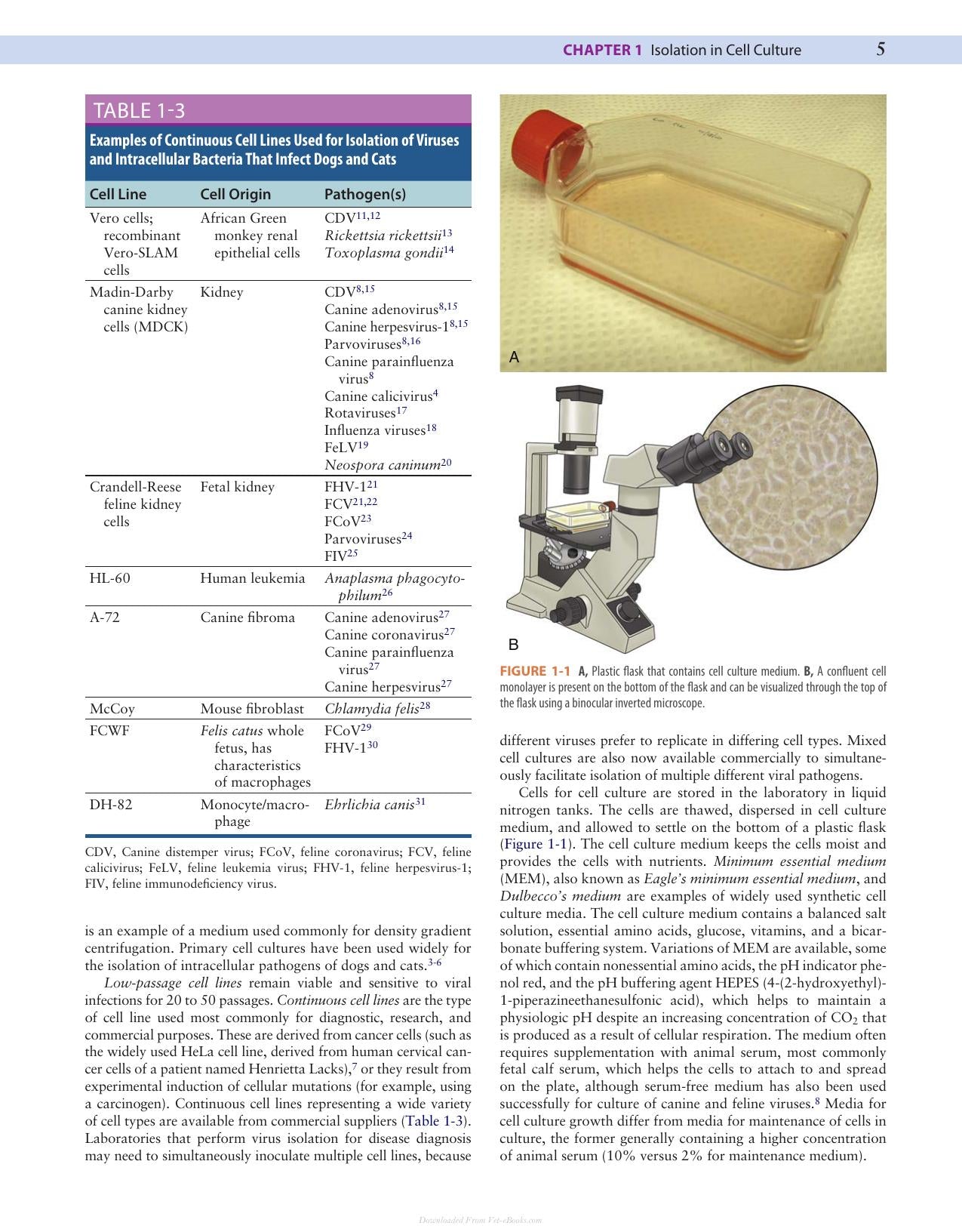 Canine And Feline Infectious Diseases