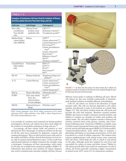 Canine and Feline Infectious Diseases