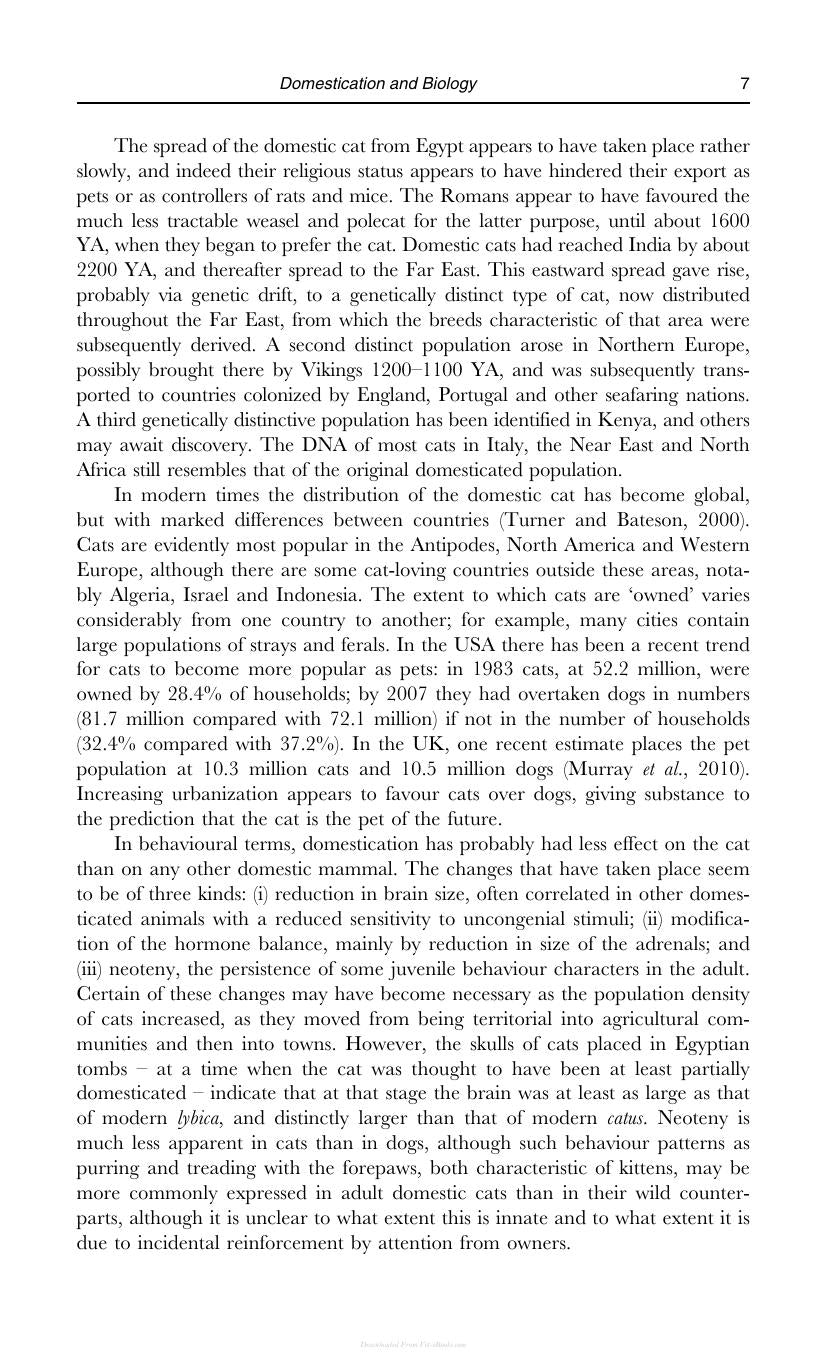 Behaviour Of The Domestic Cat 2Nd Edition