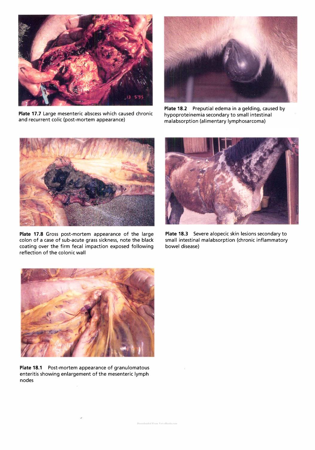 Look inside — page 18