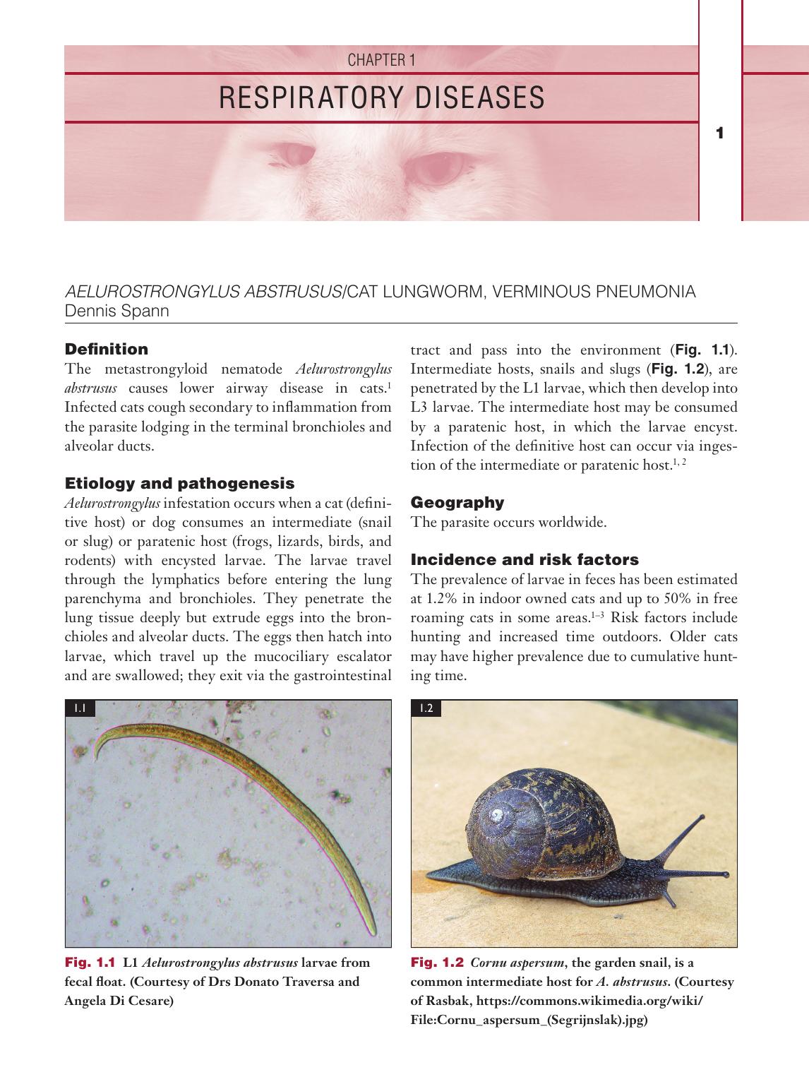 Infectious Diseases Of The Dog And Cat A Color Handbook
