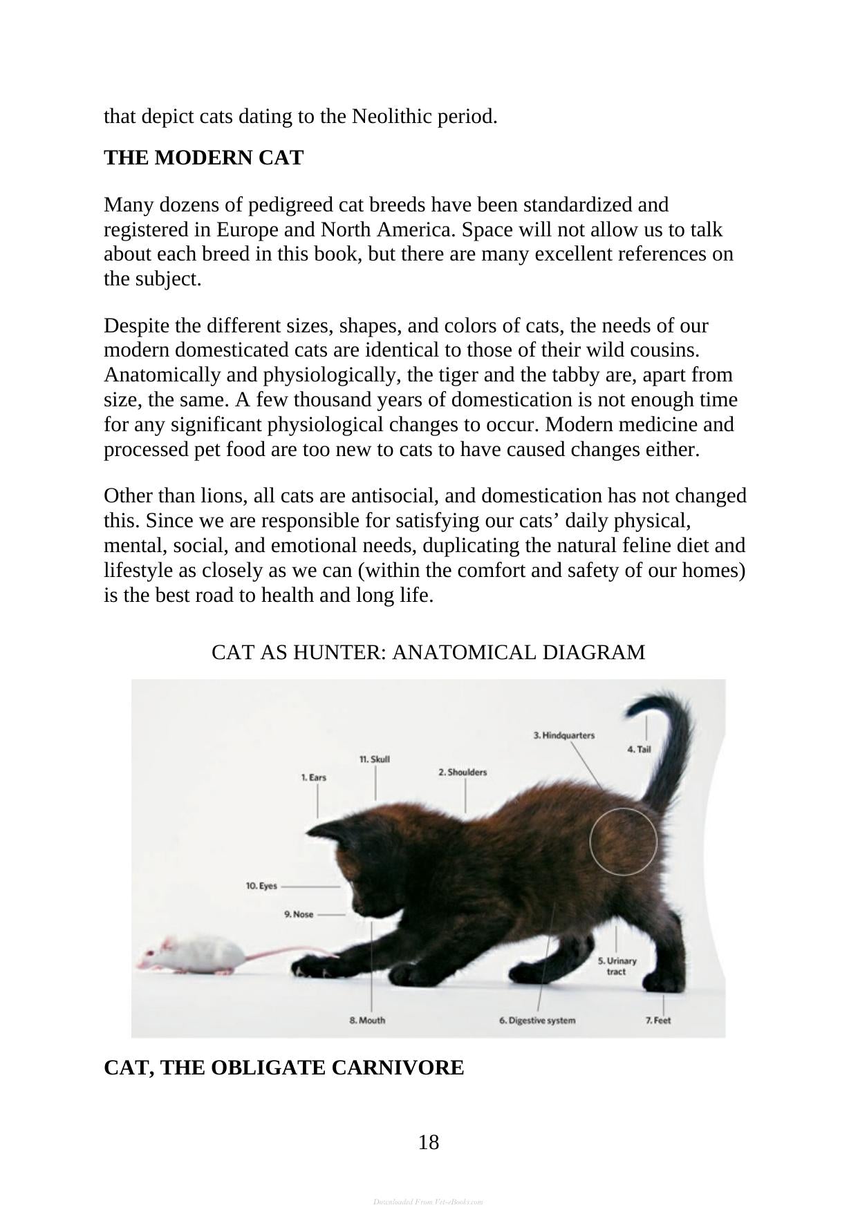 The Complete Guide To Holistic Cat Care An Illustrated Handbook