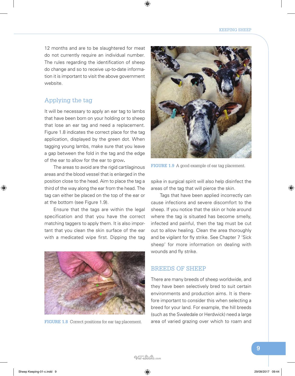 Sheep Keeping The Professional Smallholder Series