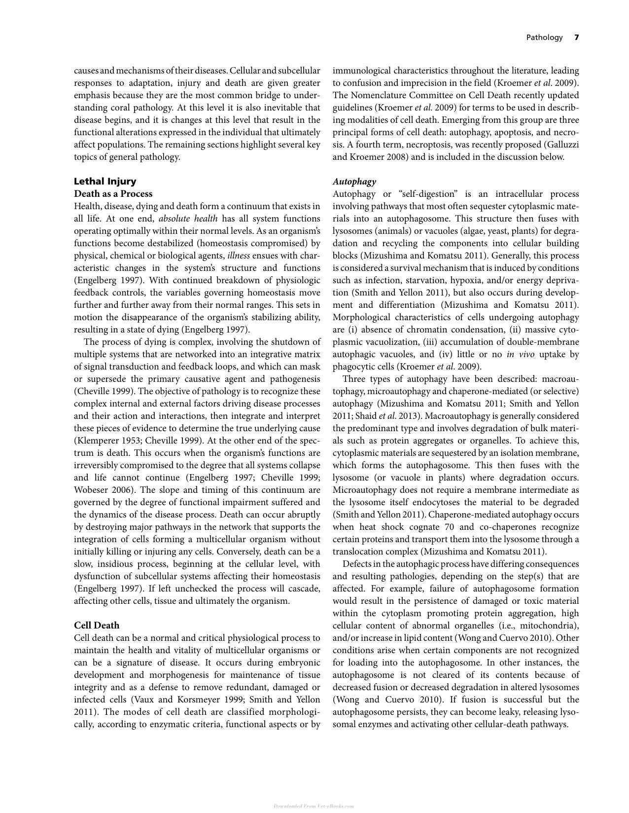 Diseases Of Coral